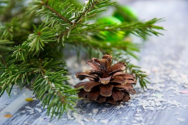 christmas-background-2999521_640